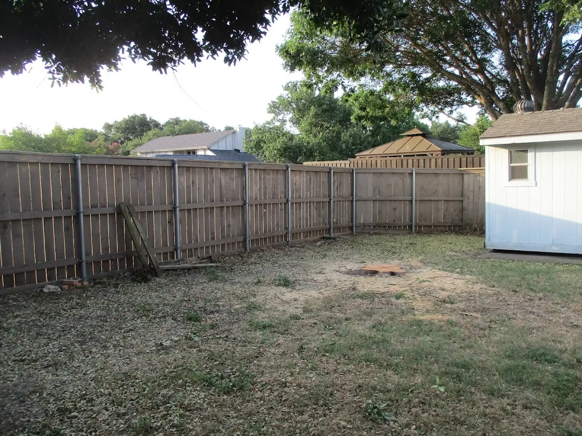 Cleared yard after professional tree removal in Camp Verde
